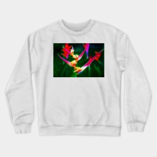 Bird of Paradise Crewneck Sweatshirt